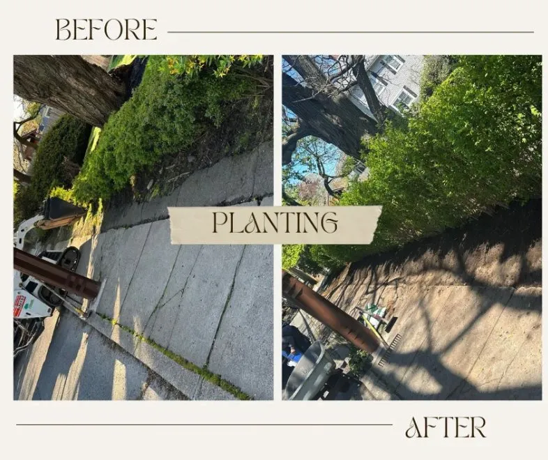 Expert landscaping services in Swampscott, MA by Miguel Lopez Landscaping & Hardscaping