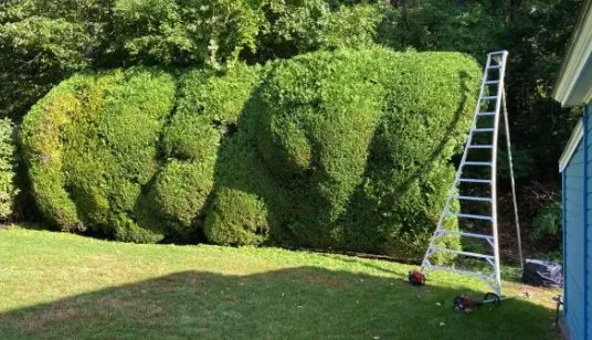 Reliable yard cleanup service experts serving Swampscott, MA - Miguel Lopez Landscaping & Hardscaping