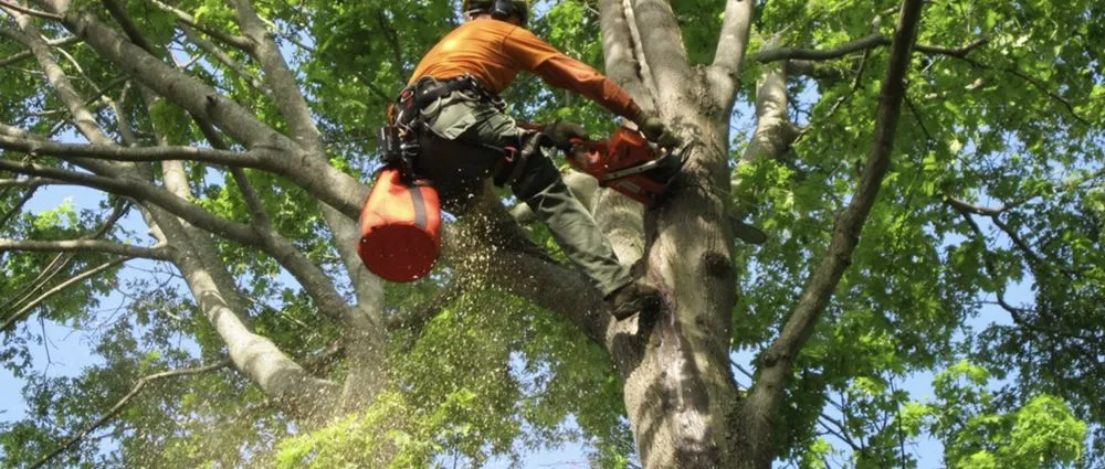 Professional garden landscaping in Swampscott, MA by Miguel Lopez Landscaping & Hardscaping