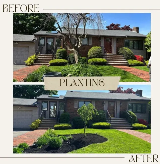 Professional garden landscaping for year-round maintenance in Swampscott, MA by Miguel Lopez Landscaping & Hardscaping