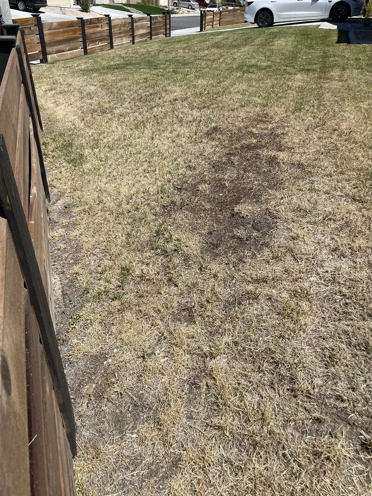 Professional yard maintenance in Palmdale, CA - Miguel Martinez Complete Landscape Service