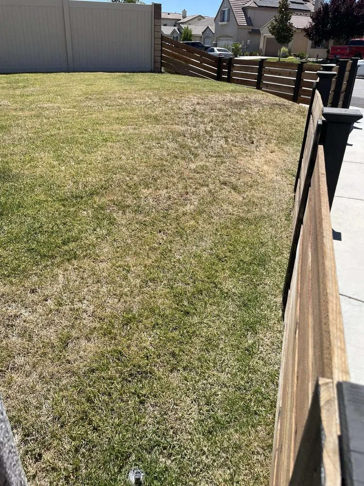 Affordable lawn mowing service experts serving Palmdale, CA - Miguel Martinez Complete Landscape Service