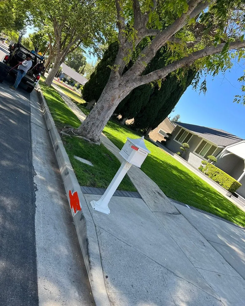 Local yard cleanup service near you across Palmdale, CA - Miguel Martinez Complete Landscape Service