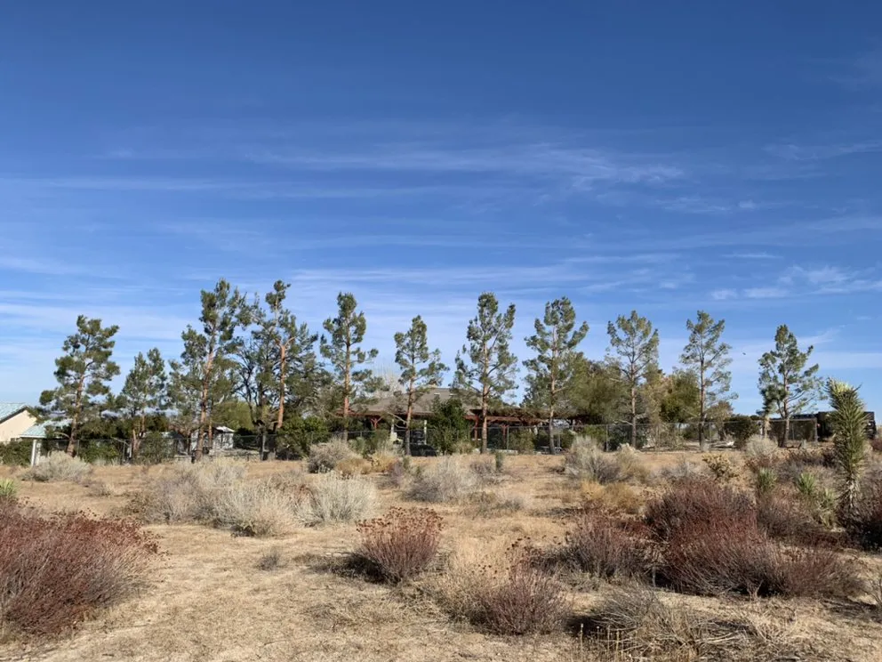 Top-rated landscape design in Palmdale, CA - Miguel Martinez Complete Landscape Service