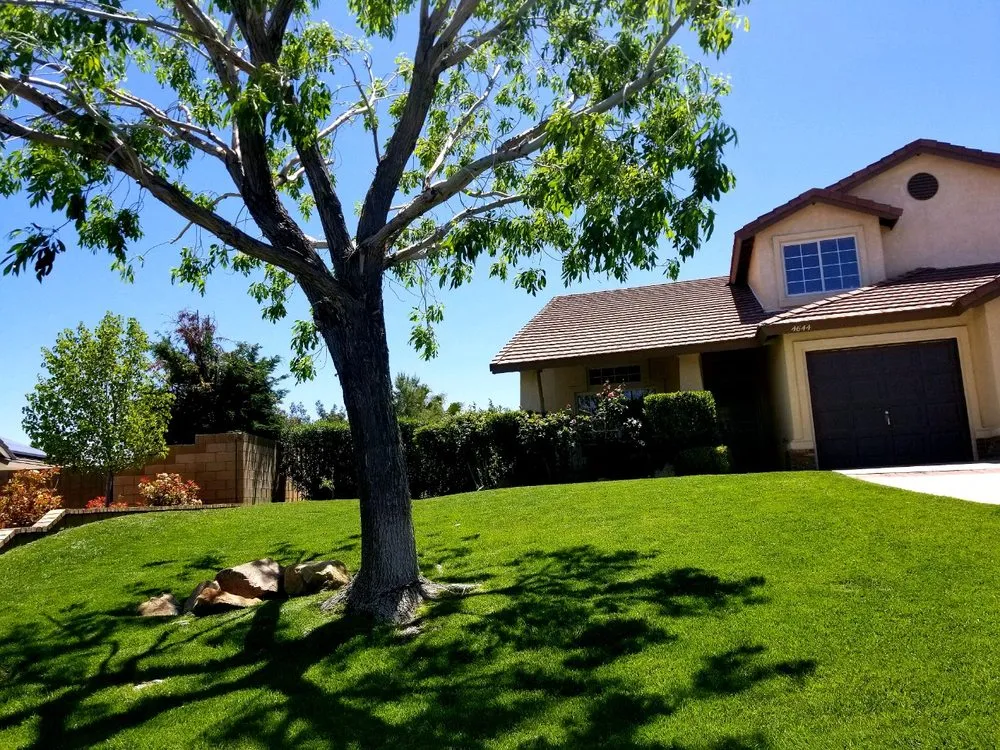 Local landscaping services in Palmdale, CA by Miguel Martinez Complete Landscape Service