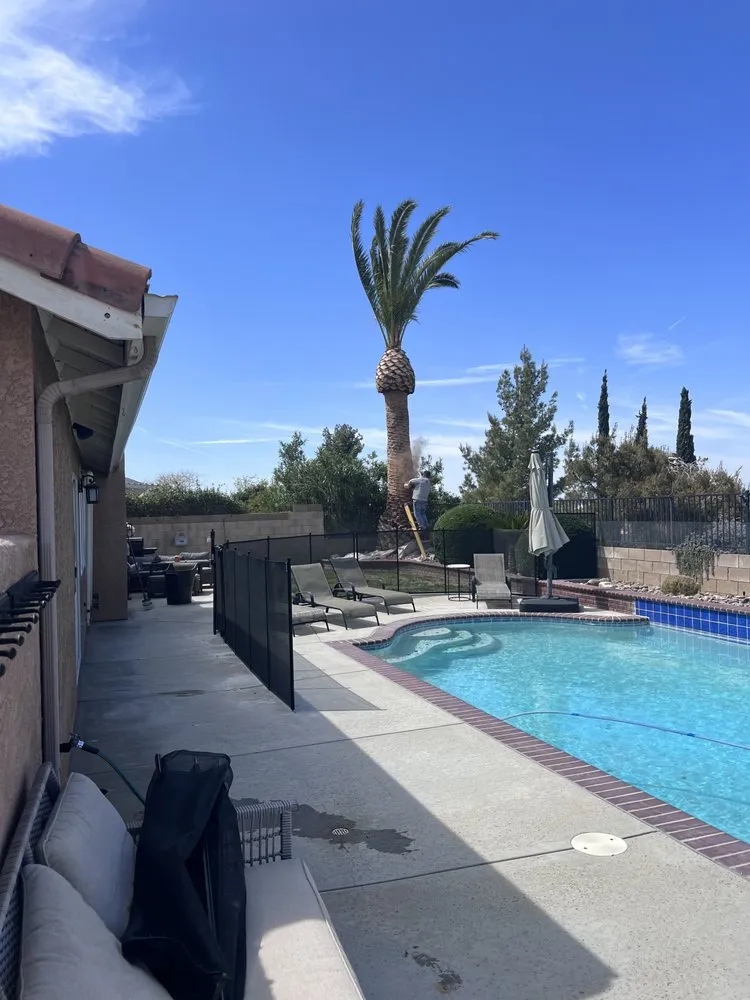 Affordable landscaping services in Palmdale, CA - Miguel Martinez Complete Landscape Service