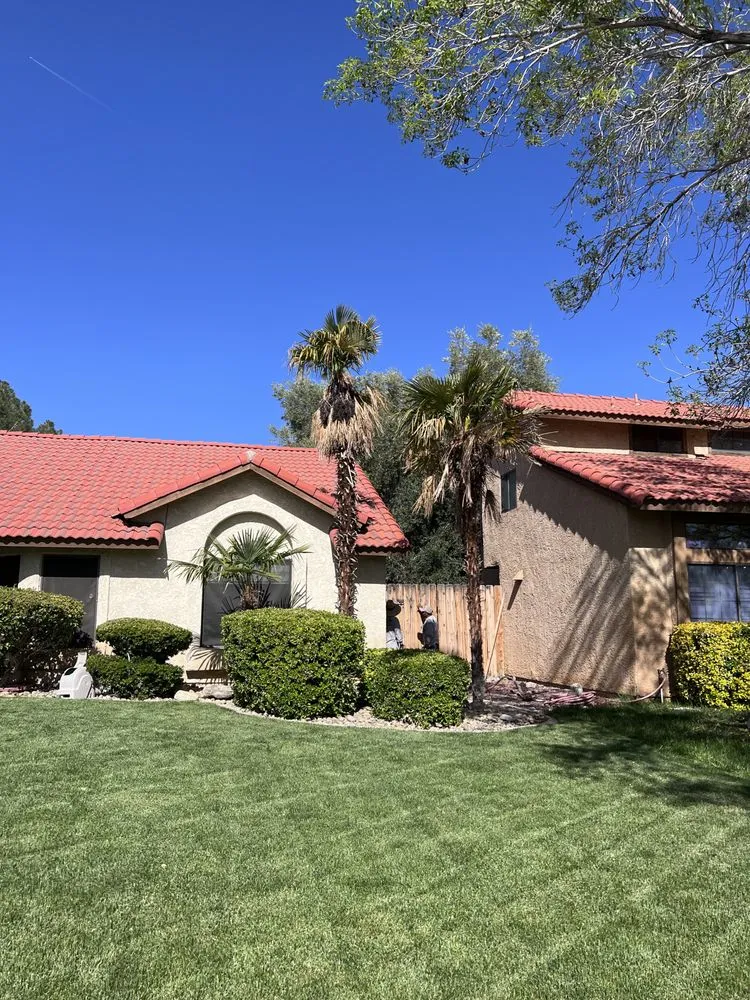 Affordable yard cleanup service in Palmdale, CA by Miguel Martinez Complete Landscape Service