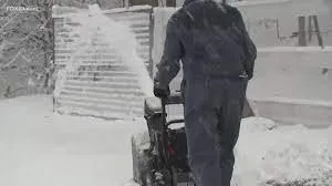 Professional garden landscaping for residential properties in Berwyn, IL by Miguel Mendoza