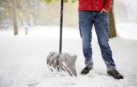 Professional outdoor landscaping for outdoor upgrades across Berwyn, IL - Miguel Mendoza