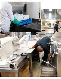 Trusted landscape design for homes in Berwyn, IL by Miguel Mendoza