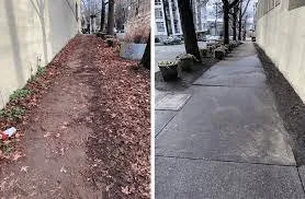 Affordable outdoor landscaping for residential properties in Berwyn, IL by Miguel Mendoza