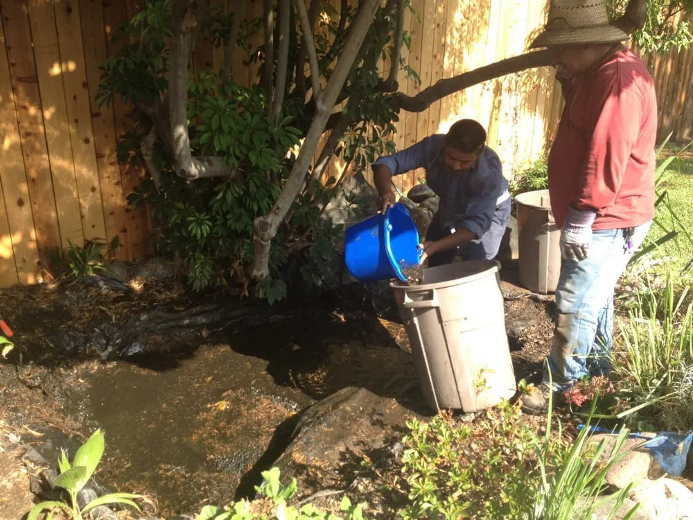 Affordable landscape design for residential properties across West Covina, CA - Miguel Munoz Landscape & Maintenance