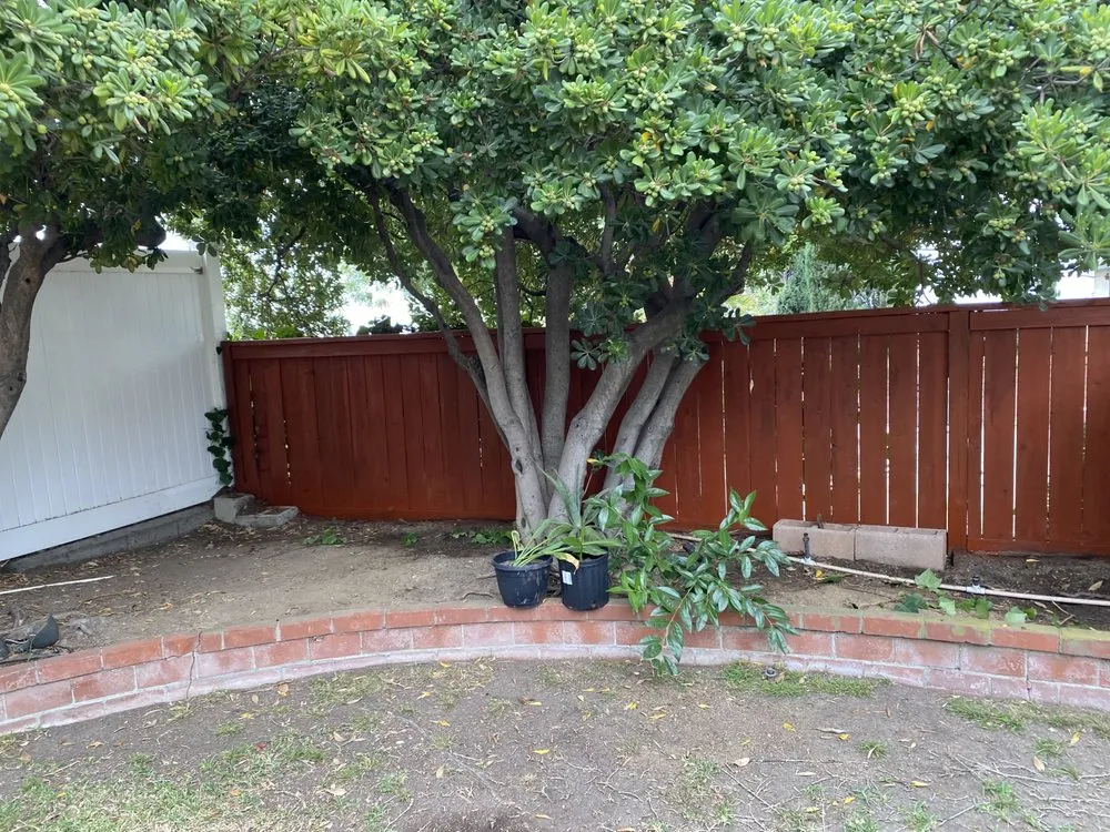 Local landscaping services in West Covina, CA by Miguel Munoz Landscape & Maintenance