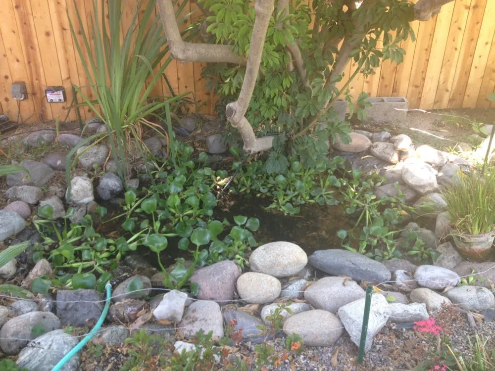 Local landscape design in West Covina, CA by Miguel Munoz Landscape & Maintenance