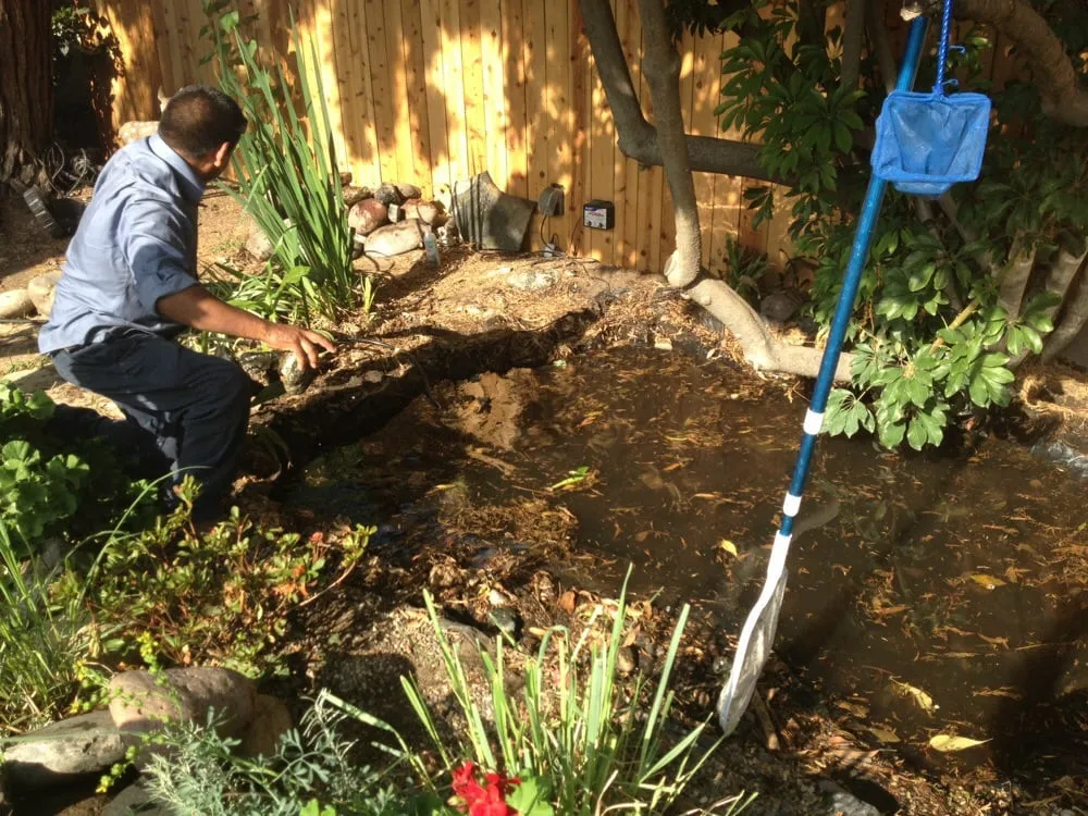 Professional yard cleanup service experts serving West Covina, CA - Miguel Munoz Landscape & Maintenance