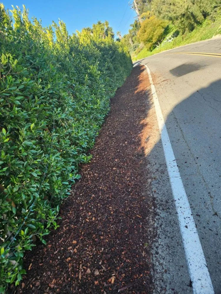 Local outdoor landscaping in Santa Barbara, CA by Miguel Vasquez Landscaping & More