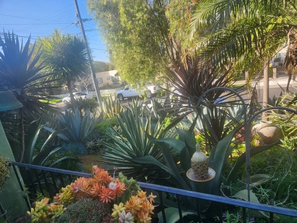 Professional lawn mowing service experts serving Santa Barbara, CA - Miguel Vasquez Landscaping & More