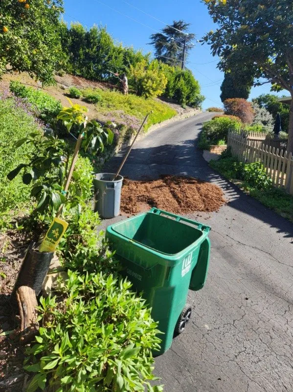 Reliable yard maintenance in Santa Barbara, CA - Miguel Vasquez Landscaping & More