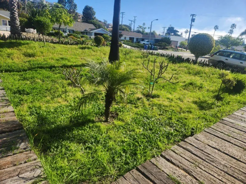 Reliable garden landscaping experts serving Santa Barbara, CA - Miguel Vasquez Landscaping & More