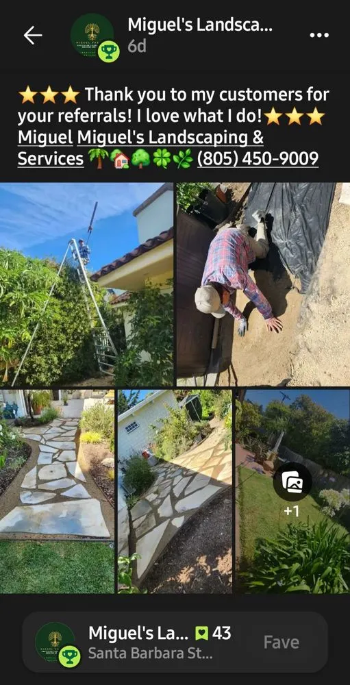 Expert lawn mowing service in Santa Barbara, CA - Miguel Vasquez Landscaping & More