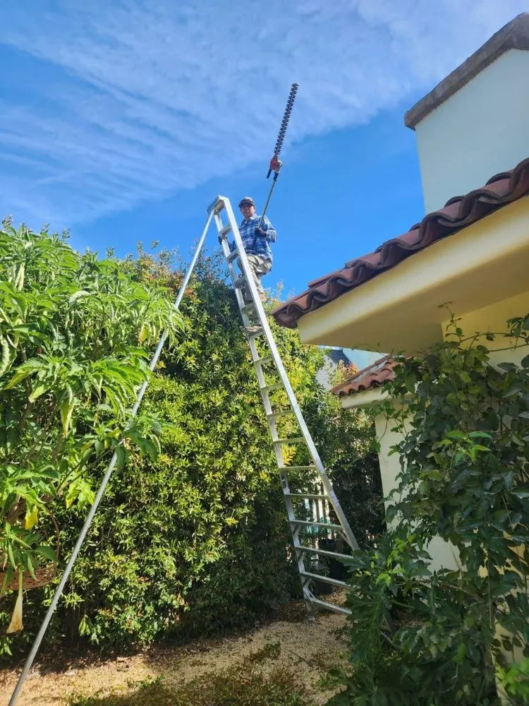 Trusted lawn mowing service in Santa Barbara, CA - Miguel Vasquez Landscaping & More