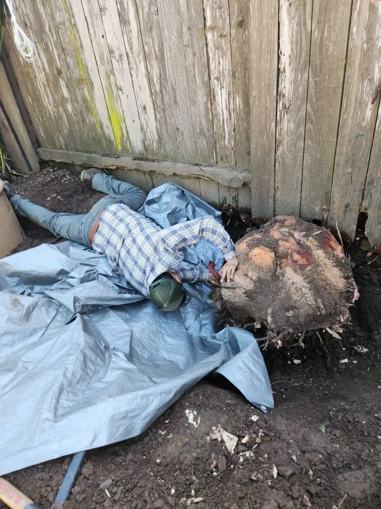 Trusted yard cleanup service for outdoor upgrades in Santa Barbara, CA by Miguel Vasquez Landscaping & More