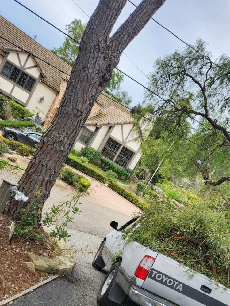 Local landscape installation experts serving Santa Barbara, CA - Miguel Vasquez Landscaping & More