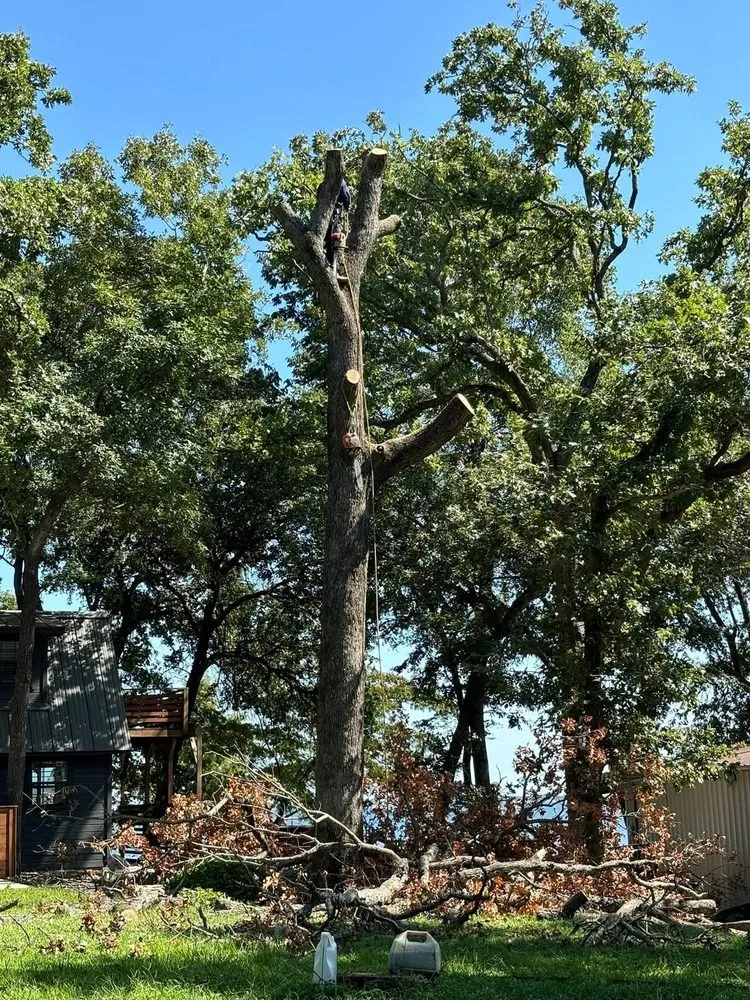 Custom landscape installation for year-round maintenance across Corsicana, TX - Miguels Custom Landscape