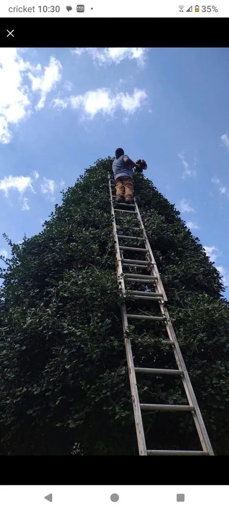 Trusted landscape installation in Carthage, NC - Miguels Details Landscape