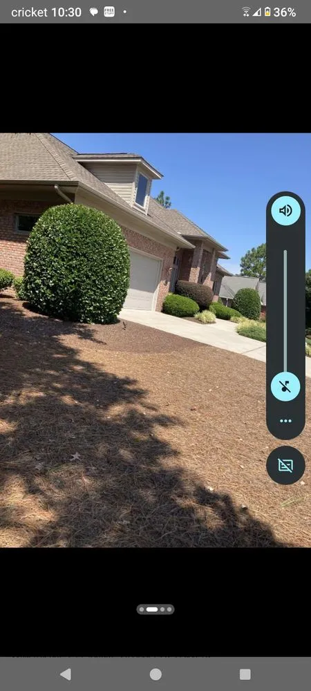 Trusted lawn mowing service for year-round maintenance in Carthage, NC by Miguels Details Landscape