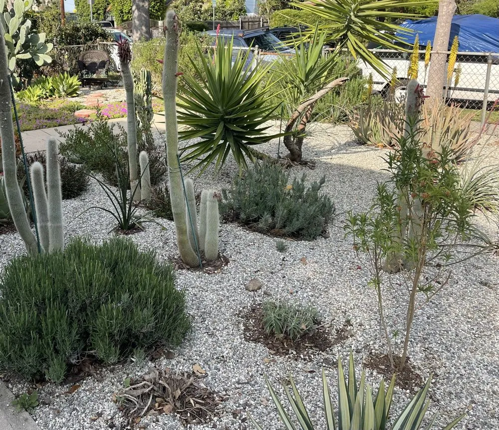 Custom landscaping services for homes in Altadena, CA by Miguel's Gardening Service