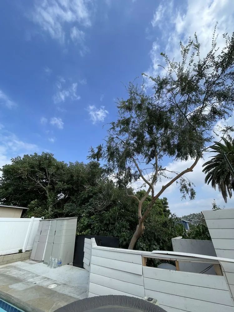 Reliable landscaping services in Altadena, CA - Miguel's Gardening Service