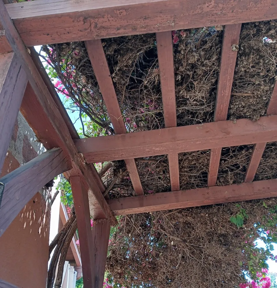 Reliable garden landscaping in Altadena, CA by Miguel's Gardening Service