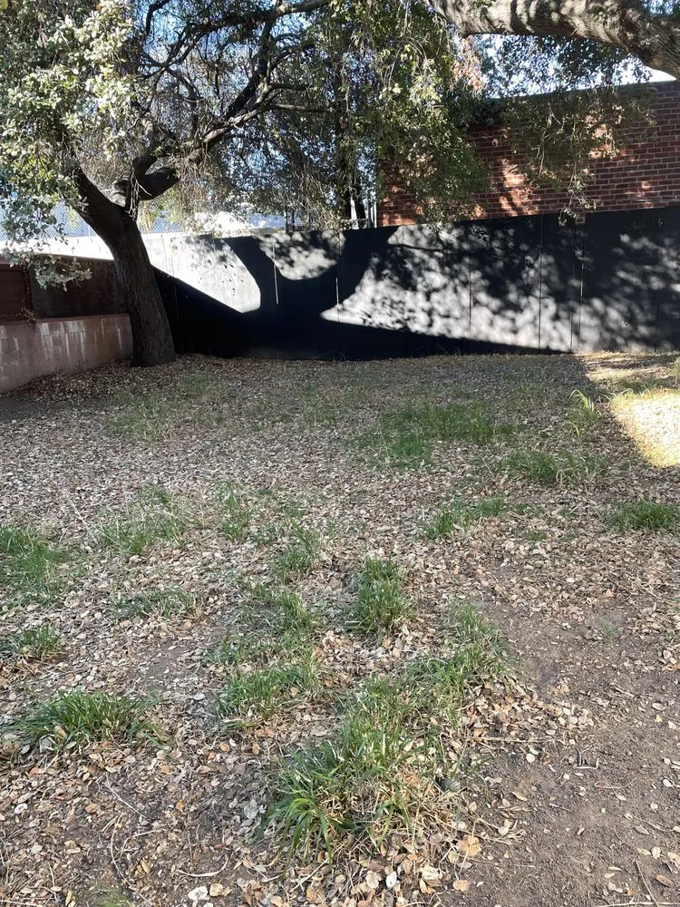 Expert landscaping services for beautiful yards in Altadena, CA by Miguel's Gardening Service