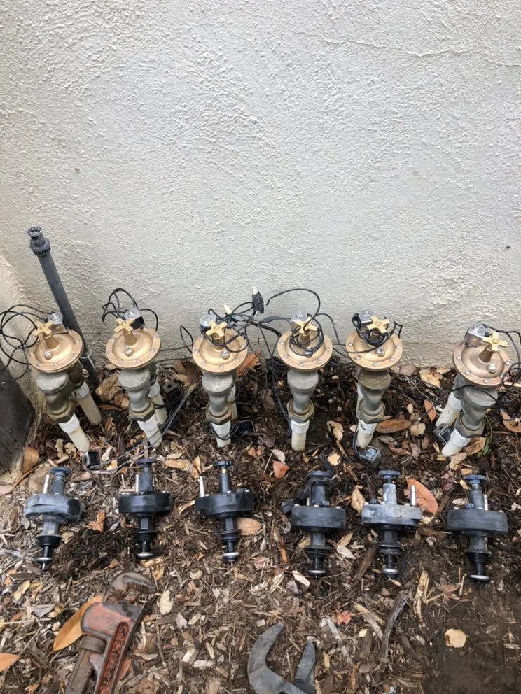 Professional outdoor landscaping in Altadena, CA by Miguel's Gardening Service