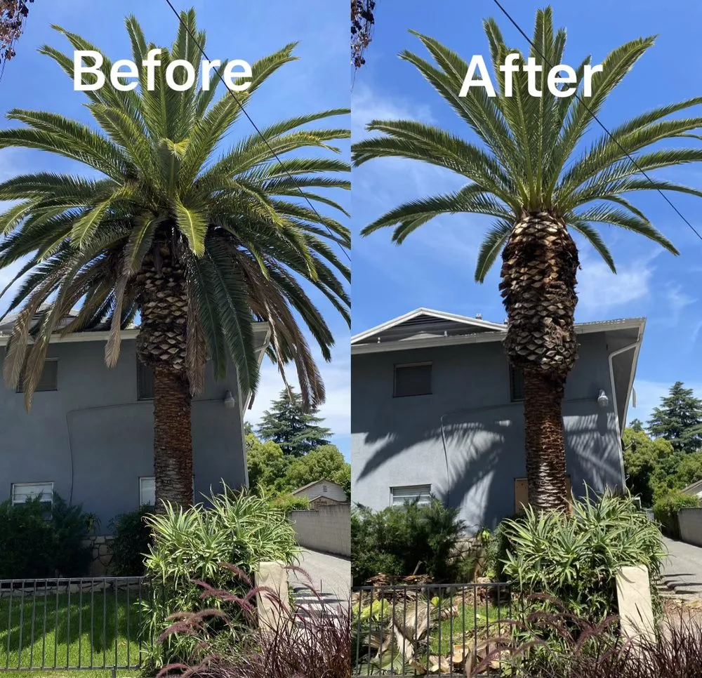 Top-rated garden landscaping in Altadena, CA by Miguel's Gardening Service