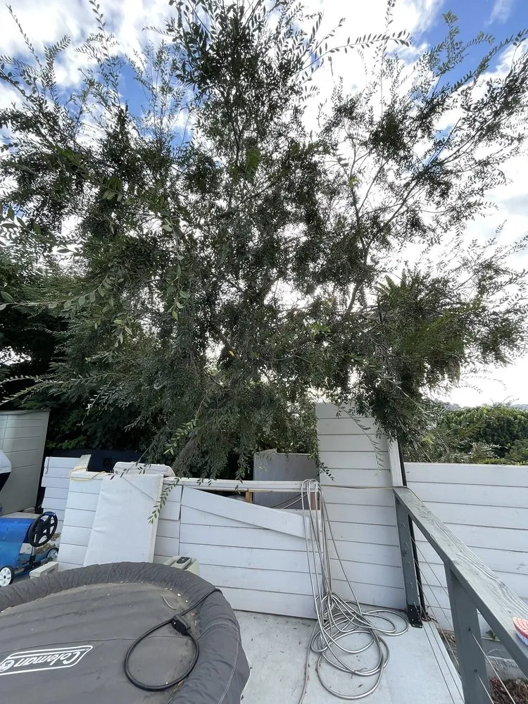 Trusted outdoor landscaping for homes across Altadena, CA - Miguel's Gardening Service