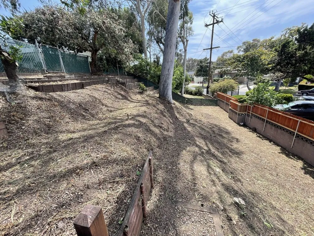 Affordable landscape installation in Altadena, CA - Miguel's Gardening Service