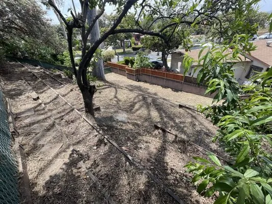 Miguel's Gardening Service