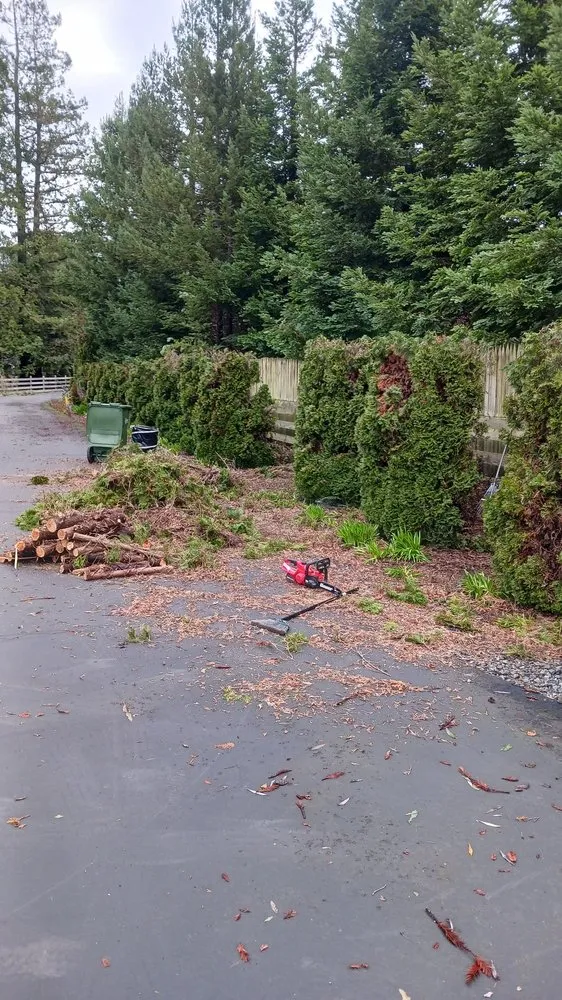 Local landscaping services in San Francisco, CA - Miguel's General Maintenance