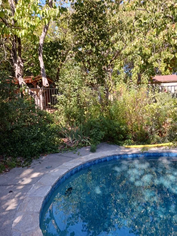 Top-rated outdoor landscaping in San Francisco, CA - Miguel's General Maintenance