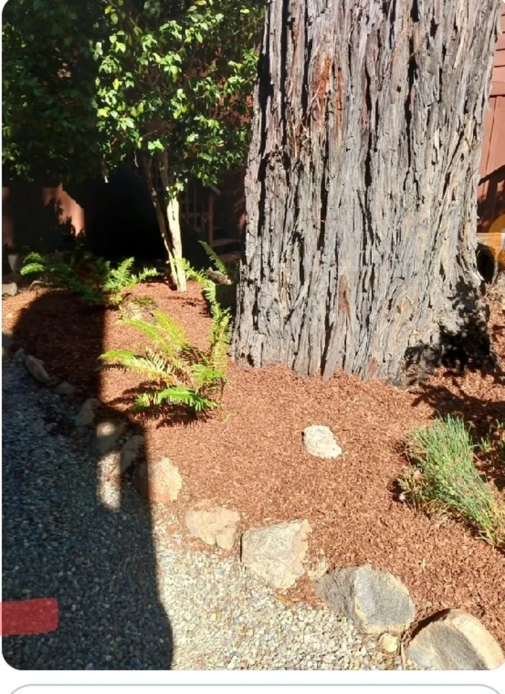 Custom lawn care service in San Francisco, CA by Miguel's General Maintenance