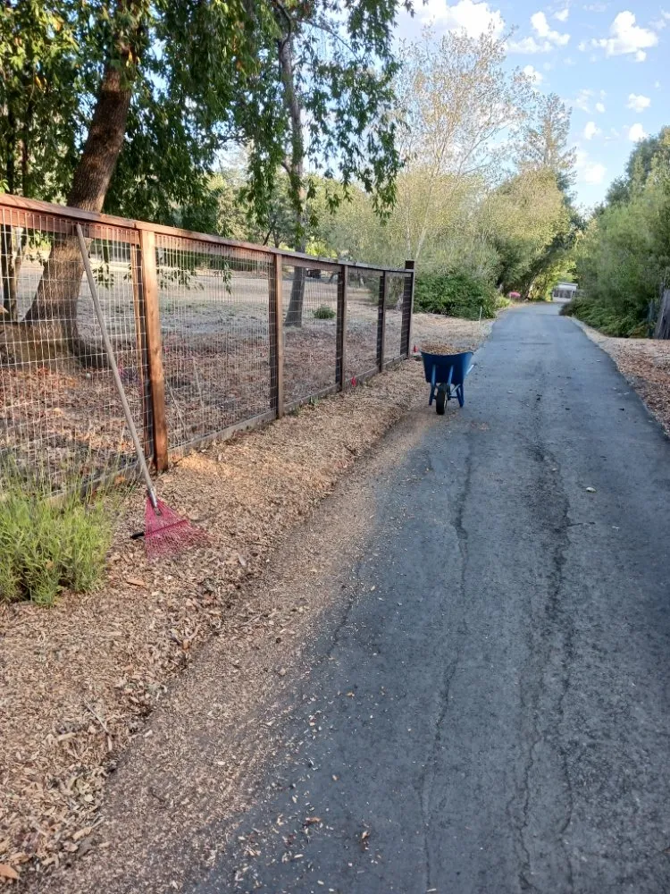 Affordable landscape design for year-round maintenance in San Francisco, CA by Miguel's General Maintenance