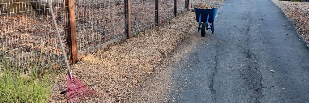 Top-rated outdoor landscaping in San Francisco, CA - Miguel's General Maintenance