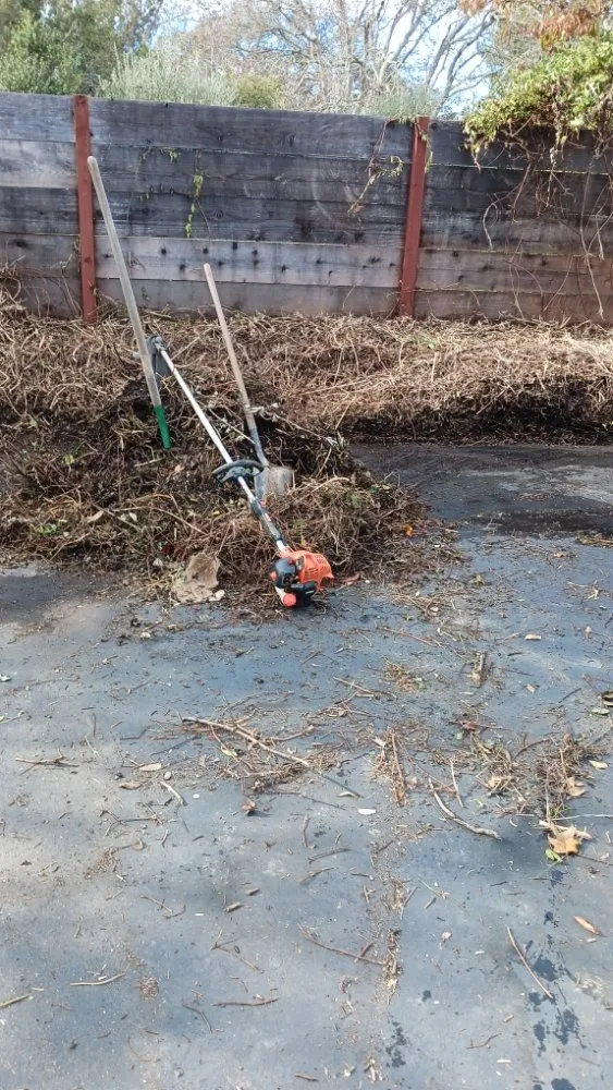 Top-rated garden landscaping experts serving San Francisco, CA - Miguel's General Maintenance