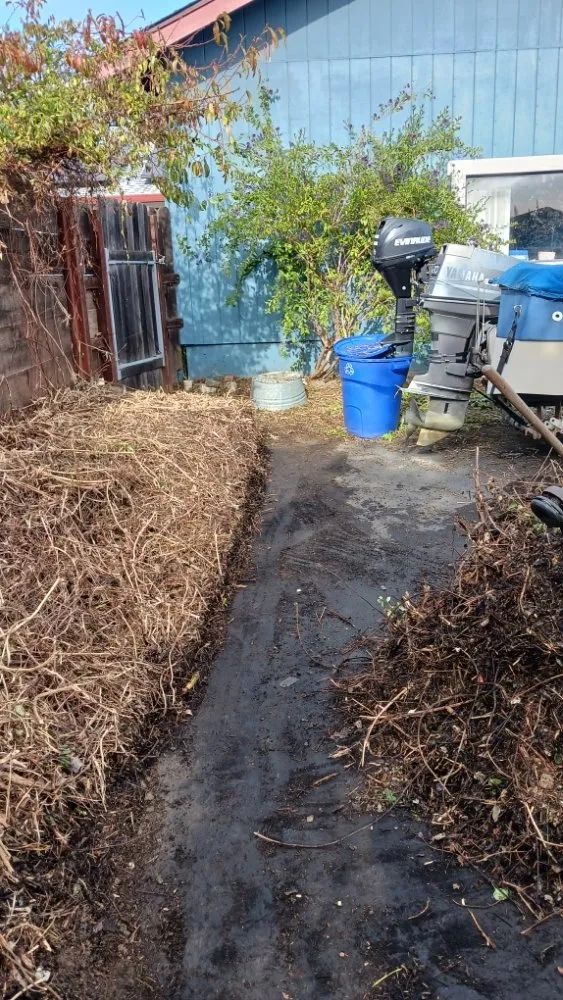 Top-rated landscape design for year-round maintenance across San Francisco, CA - Miguel's General Maintenance