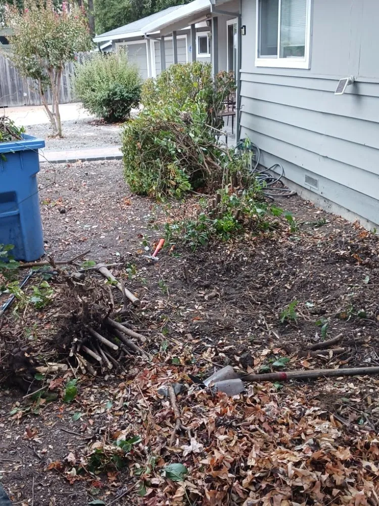 Affordable lawn mowing service for residential properties across San Francisco, CA - Miguel's General Maintenance