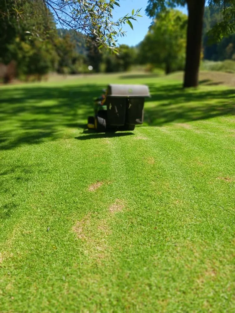 Trusted residential landscaping for homes in San Francisco, CA by Miguel's General Maintenance