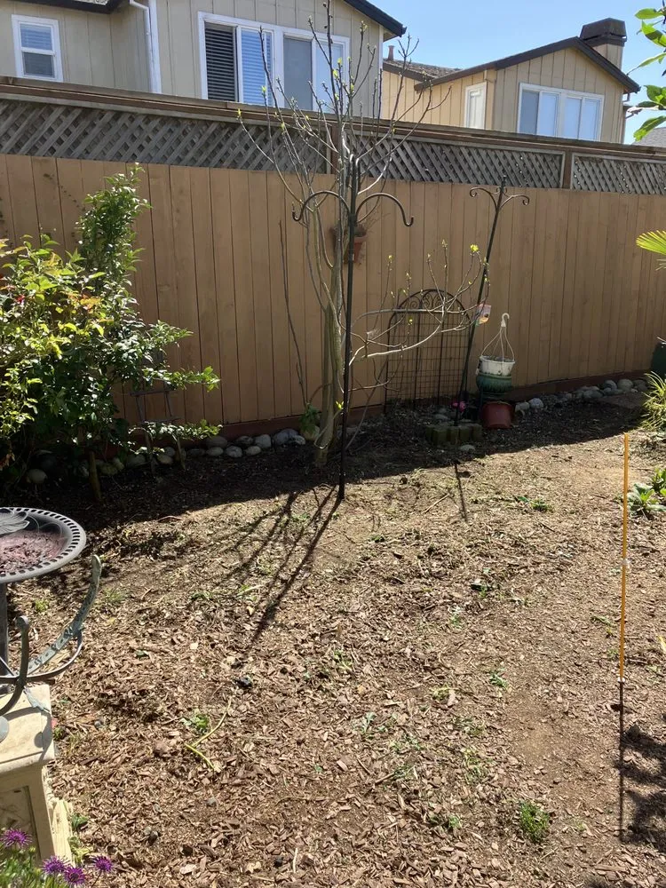 Affordable outdoor landscaping for outdoor upgrades in San Francisco, CA by Miguel's General Maintenance