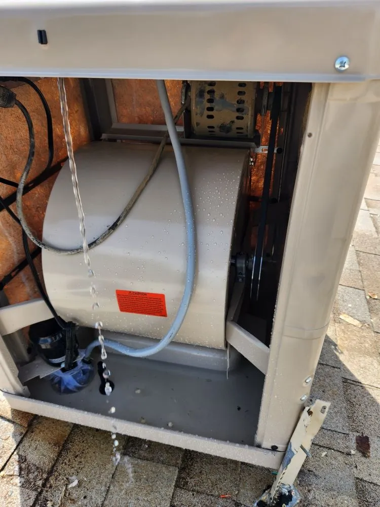 Professional landscaping services for residential properties in Palmdale, CA by Miguel's Handyman Services